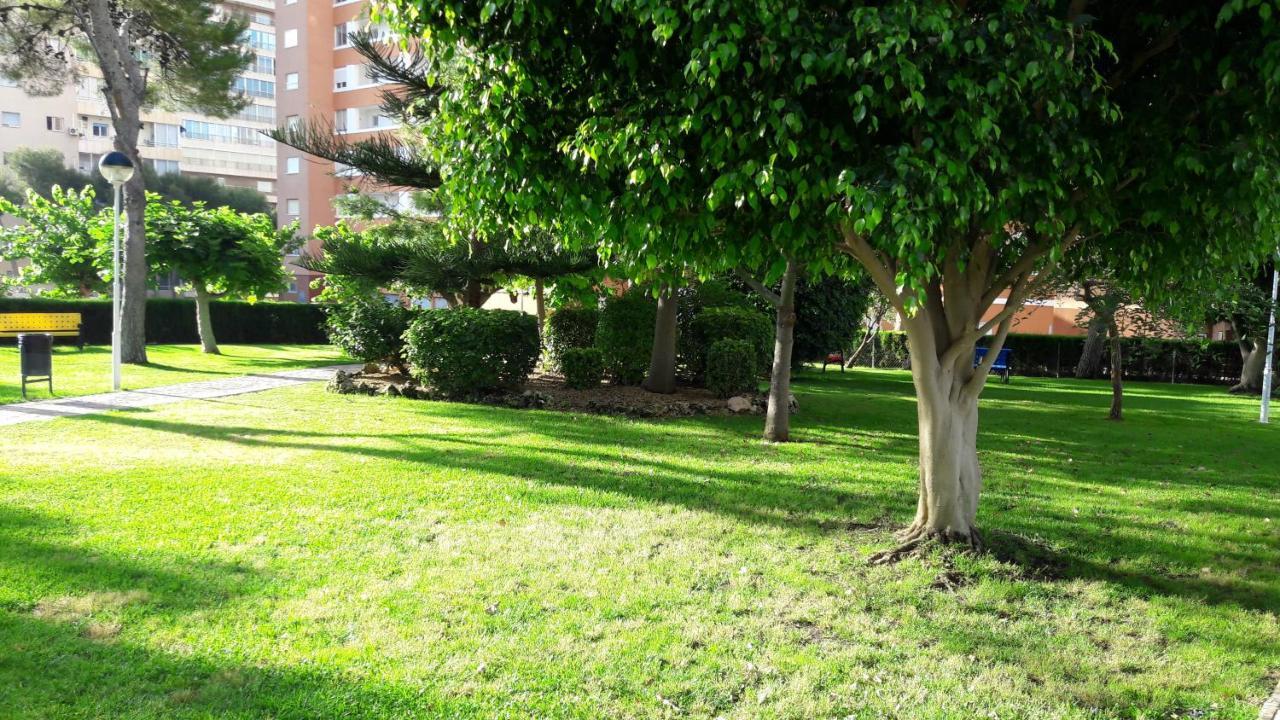 Apartamento Edificio Provima B 5 Benidorm Exteriör bild